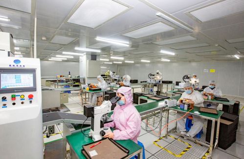 奮進在春光里 電子信息產(chǎn)業(yè)滿園春色，信息技術(shù)咨詢服務(wù)賦能向海圖強