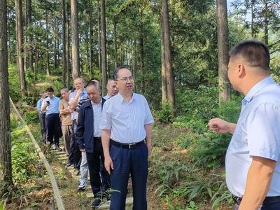 科技賦能，生態富民 福建省林業局領導赴福州、寧德調研林下經濟與電子產品銷售新模式